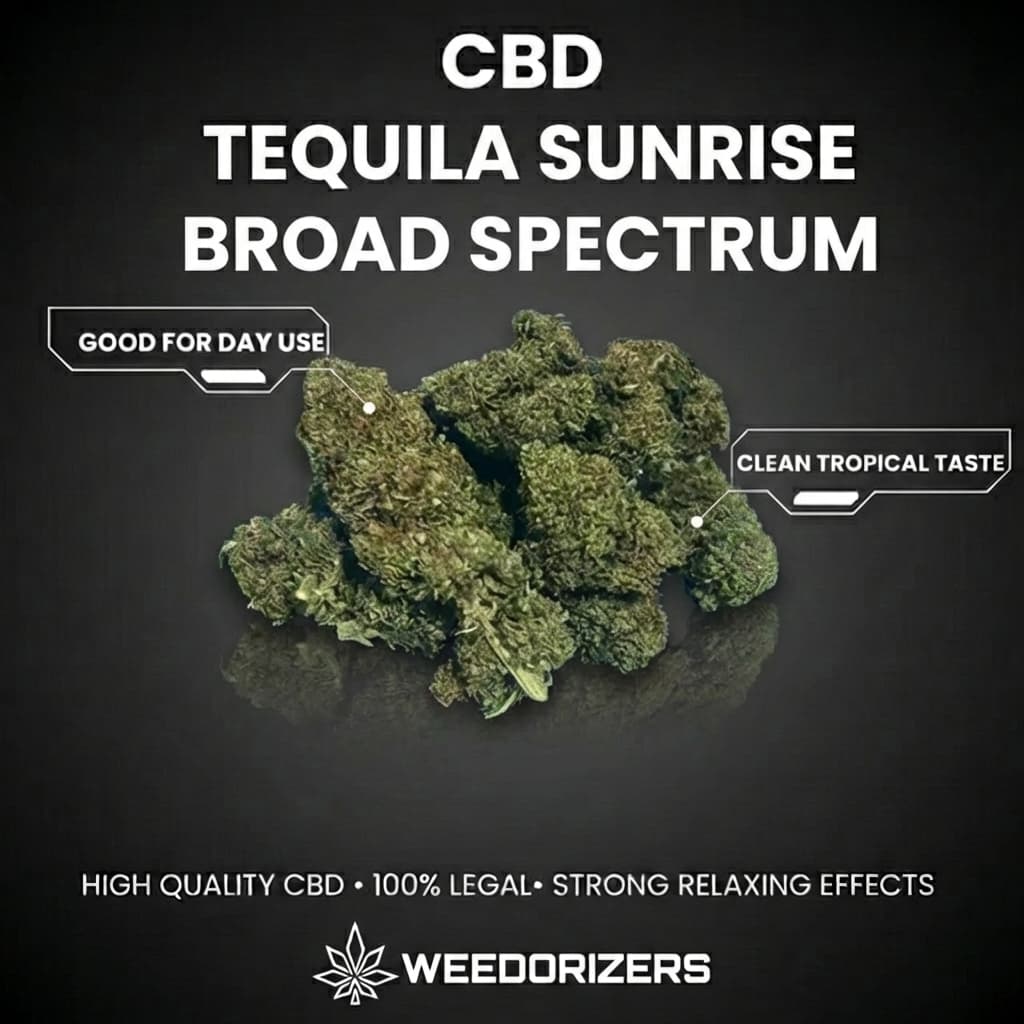 Spark Up Bundle