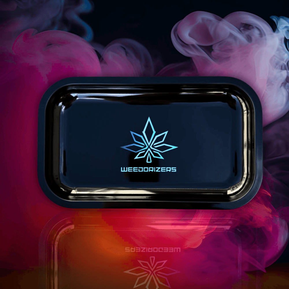 Spark Up Bundle